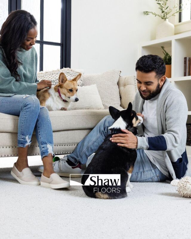 Make your own luck this March with Pet Perfect by Shaw Floors! 🐾 Say goodbye to worries about pet messes and hello to stylish, durable flooring. Ready to learn more? Visit Concept Flooring Inc. today for all the details on creating a pet-friendly paradise at home! 🍀✨ 
#petperfect #floors #shawfloors​