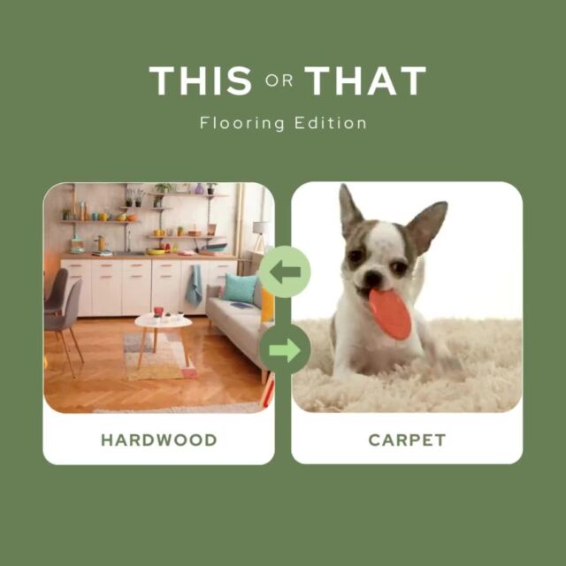 Elevate your space with the timeless beauty of hardwood or sink into cozy comfort with the warmth of carpet – which flooring ignites your interior design dreams? 

#HardwoodVsCarpet #ThisOrThat