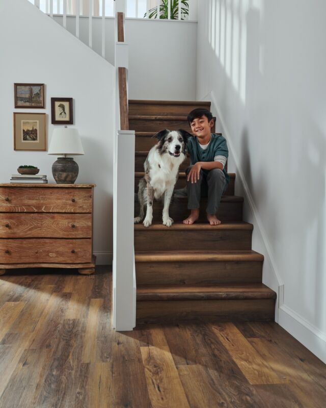 @manningtonfloors designs their floors with every family member in mind – even the furry ones. 🐾 ADURA® Luxury Vinyl plank floors are waterproof, scratch-resistant, easy to clean and family-friendly – standing up to the most active households. Flooring shown: Napa | Color: Tannin