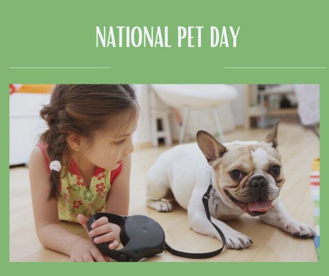 Happy #NationalPetDay 😍

Make sure to celebrate and give your pets some extra love today ❣️
